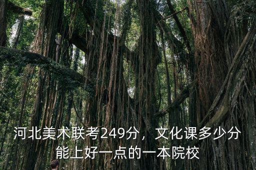 河北藝術考試分數線是多少分,河北美術聯考249分