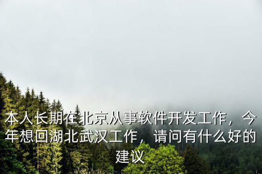 本人長期在北京從事軟件開發工作，今年想回湖北武漢工作，請問有什么好的建議