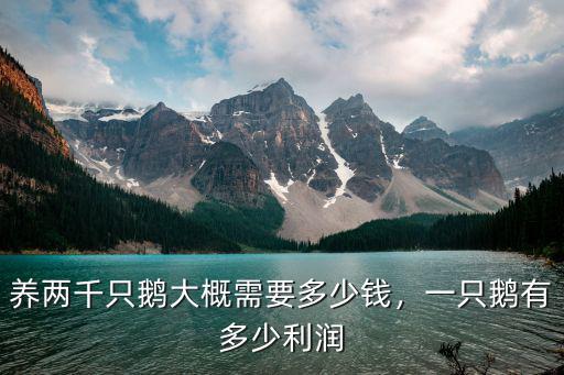 廊坊商品鵝蛋多少錢一只,一只鵝有多少利潤