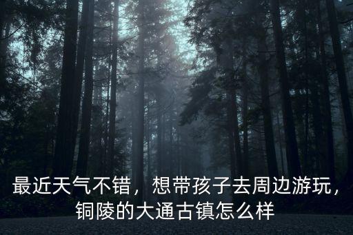 最近天氣不錯，想帶孩子去周邊游玩，銅陵的大通古鎮怎么樣