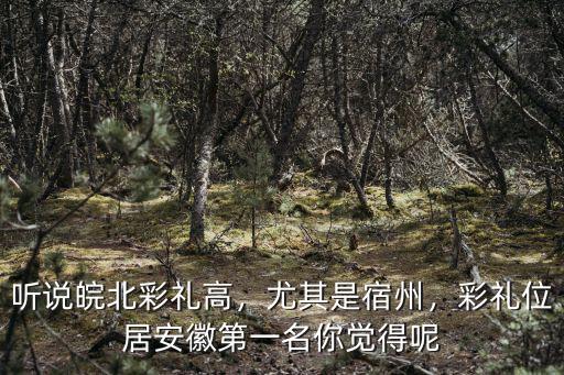 安徽蕭縣孫圩子鄉(xiāng)彩禮多少,安徽淮北市結(jié)婚彩禮錢是多少