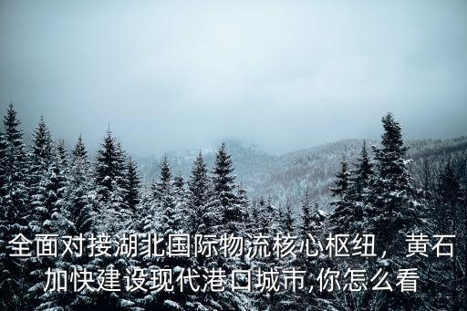 湖北翰宇國際物流怎么樣,武漢國際物流前景怎么樣