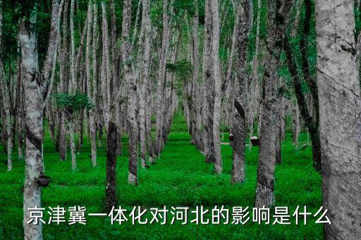2018年河北省的GDP是多少,華北的河北省