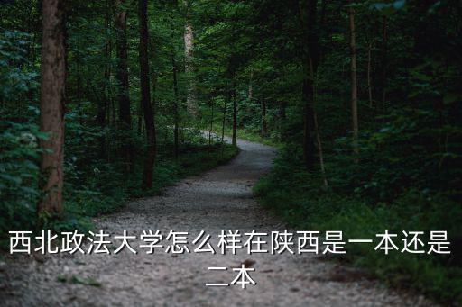 安徽一本大學西北政法要多少分,在陜西是一本還是二本