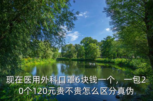 邯鄲醫用外科口罩多少錢一件,請問外科口罩現在多少錢一個