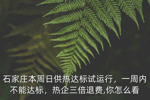 石家莊本周日供熱達(dá)標(biāo)試運行，一周內(nèi)不能達(dá)標(biāo)，熱企三倍退費,你怎么看