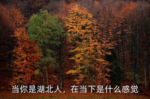 當你是湖北人，在當下是什么感覺