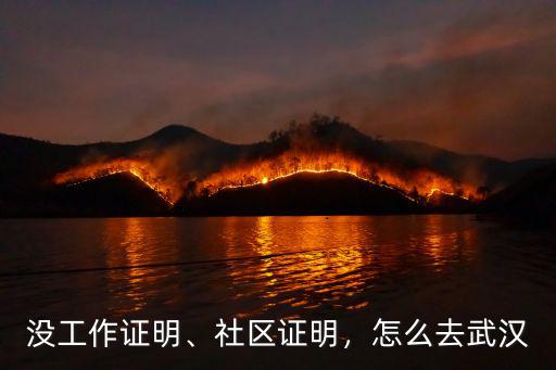怎么加入武漢社區網格員,當社區網格員有什么前途嗎