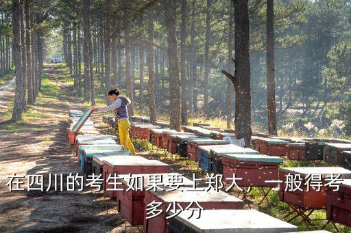 河北考生多少分上鄭州大學,一般得考多少分