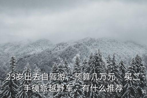 23歲出去自駕游，預算幾萬元，買二手硬派越野車，有什么推薦