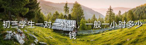 蕪湖初中補(bǔ)課一小時(shí)多少錢,初三學(xué)生一對一補(bǔ)課