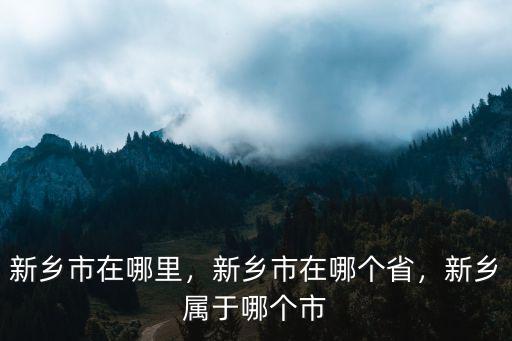 新鄉東南小區在哪里,新鄉市在哪里