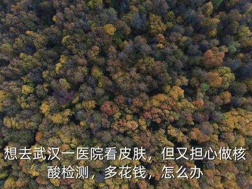 想去武漢一醫院看皮膚，但又擔心做核酸檢測，多花錢，怎么辦