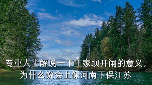專業人士解說一下王家壩開閘的意義，為什么說會上保河南下保江蘇