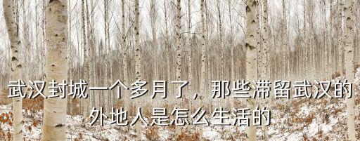 武漢封城后30萬人怎么出去的,武漢人怎么活