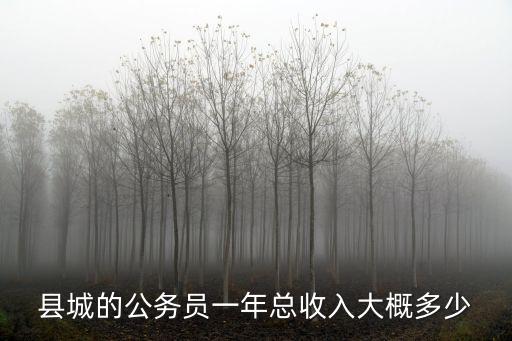 滁州公務(wù)員一年可以拿多少,海關(guān)公務(wù)員一年收入多少