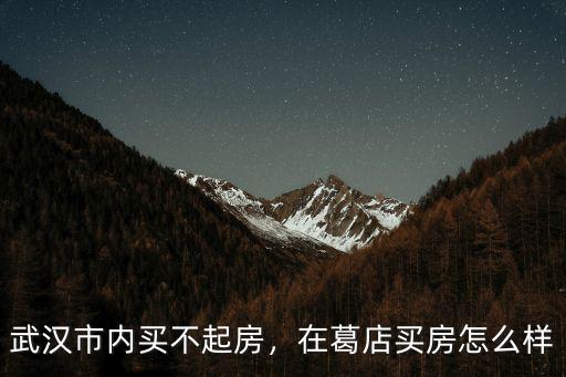 武漢市內買不起房，在葛店買房怎么樣