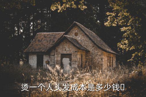 燙一個人頭發成本是多少錢?