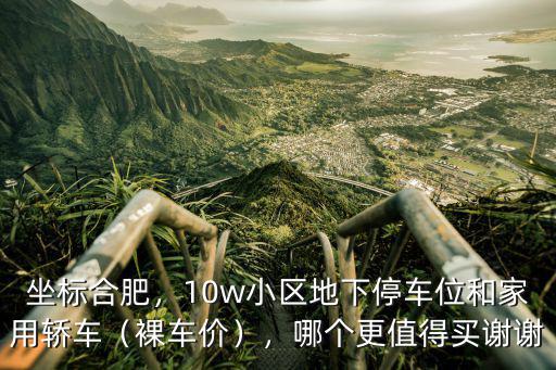 坐標合肥，10w小區地下停車位和家用轎車（裸車價），哪個更值得買謝謝