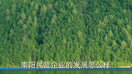 南陽民營企業的發展怎么樣