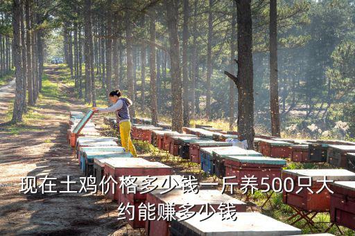 現(xiàn)在土雞價(jià)格多少錢一斤養(yǎng)500只大約能賺多少錢