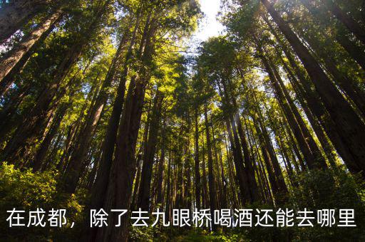 在成都，除了去九眼橋喝酒還能去哪里