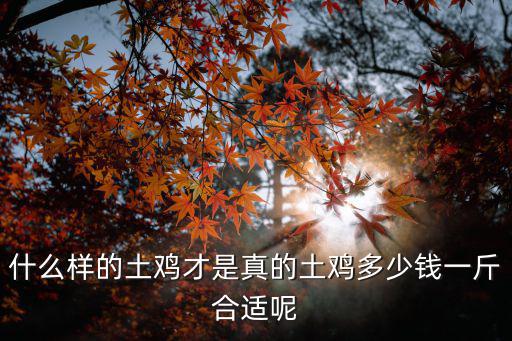 什么樣的土雞才是真的土雞多少錢一斤合適呢