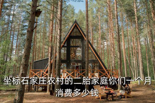 坐標石家莊農村的二胎家庭你們一個月消費多少錢
