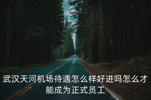 武漢機場機坪工作怎么樣,武漢天河機場待遇怎么樣