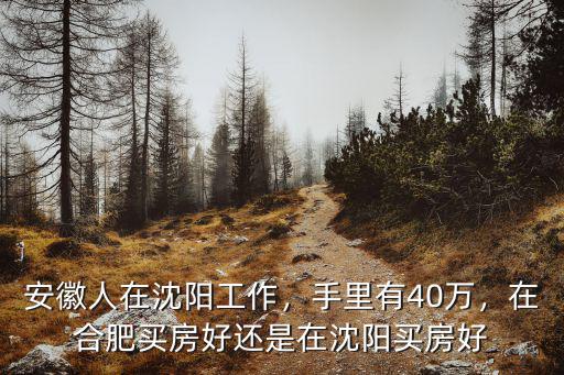 安徽人在外省安家的有多少,安徽人在沈陽工作