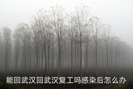 能回武漢回武漢復(fù)工嗎感染后怎么辦