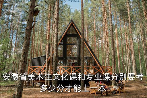 安徽美術(shù)生高考多少分可以上一本2020,美術(shù)生文化課420左右