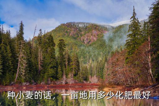 種麥子復合肥一畝地上多少,今年種麥子用什么復合肥好