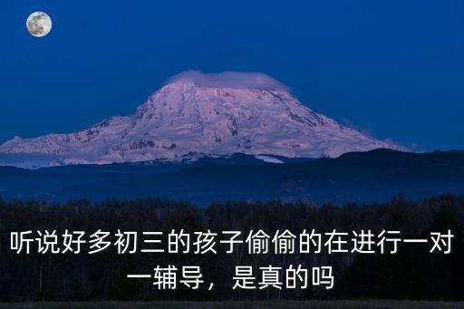 廊坊初三一對一輔導(dǎo)費(fèi)用是多少,初三學(xué)生一對一補(bǔ)課