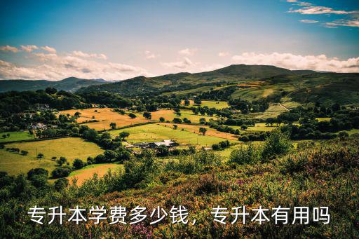 專升本報名費多少河北,專升本學費多少錢
