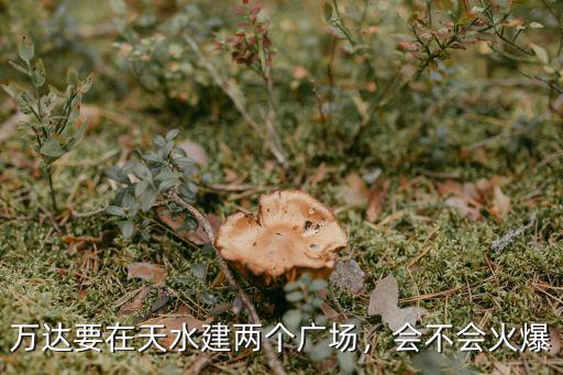 萬(wàn)達(dá)要在天水建兩個(gè)廣場(chǎng)，會(huì)不會(huì)火爆