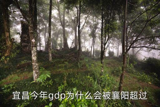 宜昌今年gdp為什么會(huì)被襄陽(yáng)超過