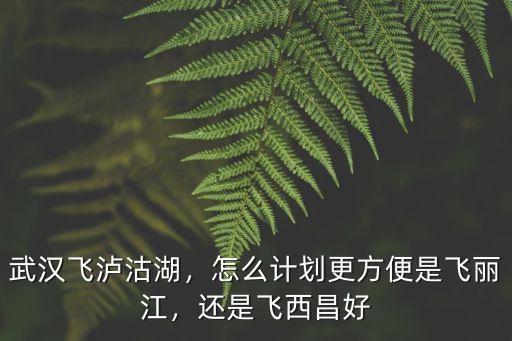 武漢飛瀘沽湖，怎么計劃更方便是飛麗江，還是飛西昌好