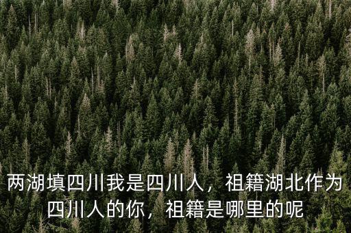 兩湖填四川我是四川人，祖籍湖北作為四川人的你，祖籍是哪里的呢