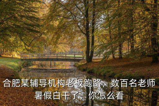 合肥某輔導(dǎo)機(jī)構(gòu)老板跑路，數(shù)百名老師暑假白干了，你怎么看