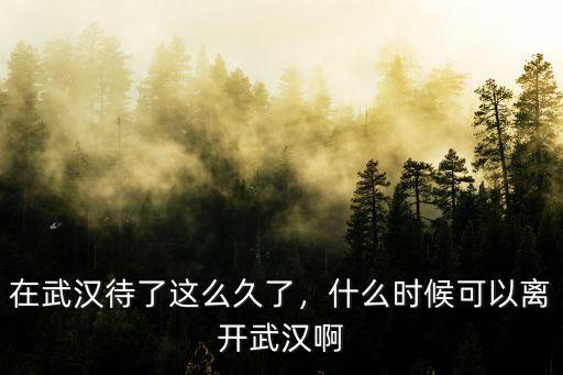 在武漢待了這么久了，什么時候可以離開武漢啊