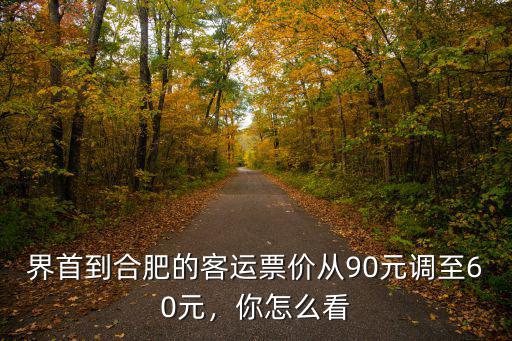 界首到合肥的客運票價從90元調至60元，你怎么看