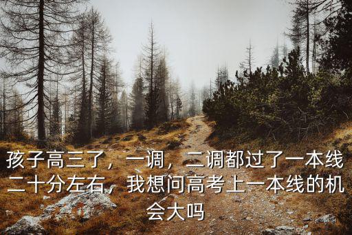孩子高三了，一調，二調都過了一本線二十分左右，我想問高考上一本線的機會大嗎