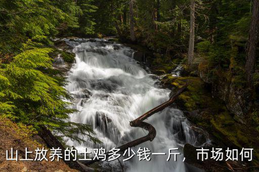 安慶市區菜市場土雞多少錢一斤,農家土雞最低一斤要多少錢