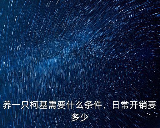 淮南市柯基幼犬多少錢一條,養(yǎng)一只柯基一年大概要多少錢