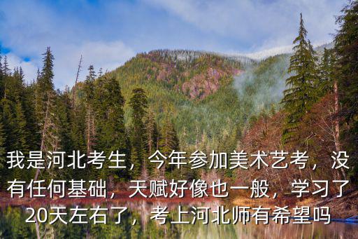河北美術考生今年多少人,我是河北考生