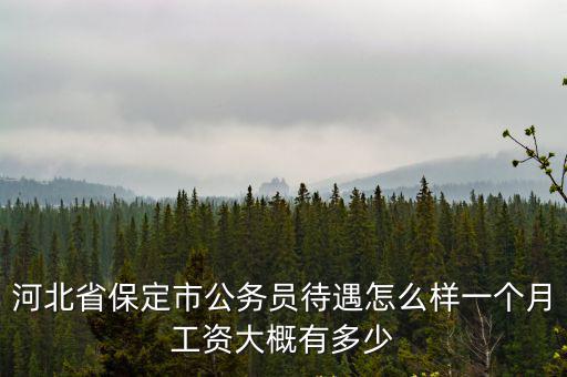 河北省保定市公務(wù)員待遇怎么樣一個(gè)月工資大概有多少