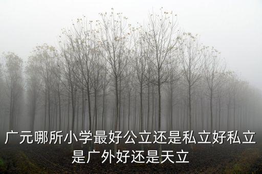 廣元哪所小學最好公立還是私立好私立是廣外好還是天立