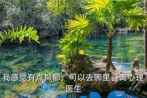 我感覺有點抑郁，可以去哪里咨詢心理醫(yī)生