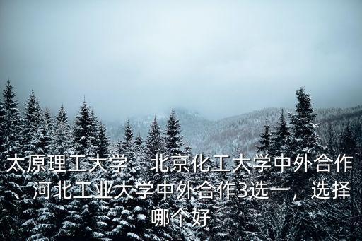 河北工業(yè)大學(xué)中美合作學(xué)費(fèi)多少錢(qián),河北工業(yè)大學(xué)中外合作3選一